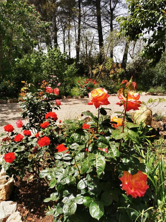 La Maison Du Soleil Provence Draguignan Esterno foto